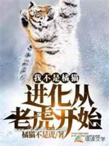 我不是橘猫进化从老虎开始图片