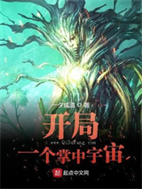 开局一个掌中宇宙图片