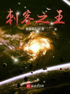 刺客之王图片