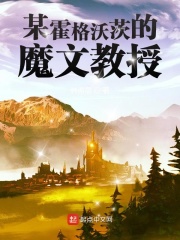 某霍格沃茨的魔文教授小说