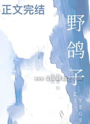野鸽子图片