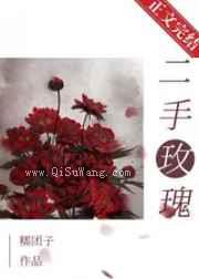 二手玫瑰图片