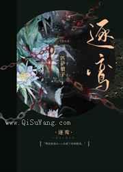 逐鸾图片