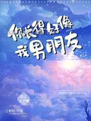 你长的好像我男朋友图片
