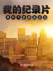 我的纪录片真的不想要高收视图片
