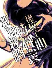 《我为我的持有灵操碎了心》全本TXT下载-作者：风的铃铛