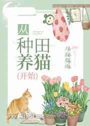 从种田养猫开始图片
