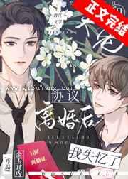 《和大佬协议离婚后我失忆了》全本TXT下载-作者：金玉其内
