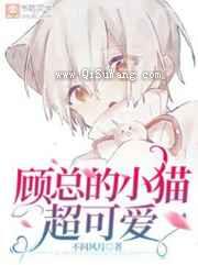 顾总的小猫超可爱图片