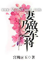 妻乃敌军之将小说