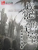 《埃尔德兰的天空》全本TXT下载-作者：此间的白杨