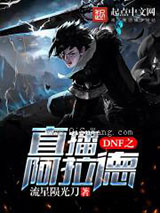 《DNF之直播阿拉德》全本TXT下载-作者：流星陨光刀