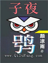 子夜鸮小说