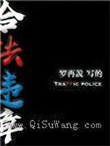 合法违章小说