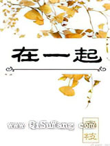 在一起小说