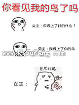 《你看见我的鸟了吗》全本TXT下载-作者：西子绪
