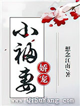 娇宠小福妻图片
