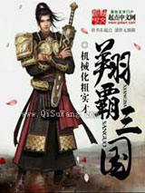 翔霸三国图片