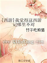 [西游]我觉得这西游记哪里不对小说