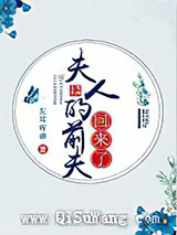 夫人的前夫回来了图片