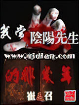 我当阴阳先生的那几年图片