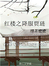 红楼之降服贾琏小说