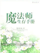 《魔法师生存手册》全本TXT下载-作者：悠悠仙