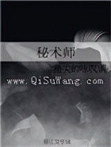 秘术师小说