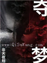 夺梦图片