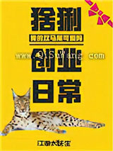 猞猁创业日常图片