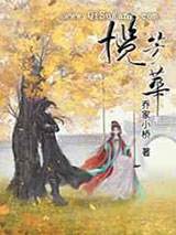 《揽芳华》全本TXT下载-作者：乔家小桥