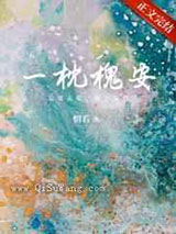 一枕槐安图片