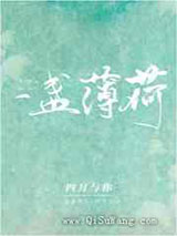 一盏薄荷图片