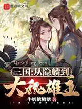 《三国：从隐麟到大魏雄主》全本TXT下载-作者：牛奶糖糖糖