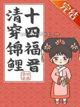 清穿锦鲤十四福晋小说