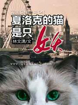 夏洛克的猫小说