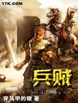 《兵贼》全本TXT下载-作者：穿马甲的猪