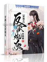 穿越之反派炮灰图片
