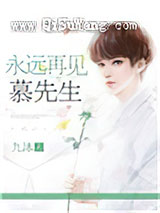 《永远再见，慕先生》全本TXT下载-作者：九沐