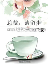 总裁，请留步图片