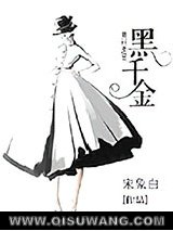 《黑千金》全本TXT下载-作者：宋象白