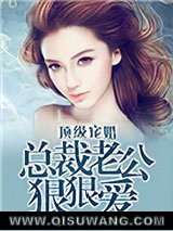 《顶级宠婚：总裁老公狠狠爱》全本TXT下载-作者：懒小玖