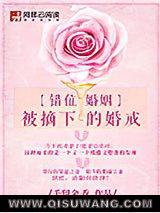 《错位婚姻：被摘下的婚戒》全本TXT下载-作者：手留余香