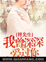《傅先生，我曾深深爱过你》全本TXT下载-作者：云往