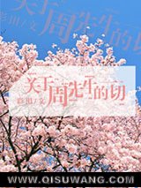 《关于周先生的一切》全本TXT下载-作者：彩田