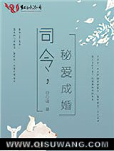 《司令，秘爱成婚》全本TXT下载-作者：谷心瑶