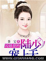 《闪婚契约：陆少宠妻上天》全本TXT下载-作者：茶宝