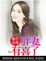 《报告总裁，胖妻有喜了》全本TXT下载-作者：水折耳