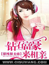 《很纯很卖萌：钻石富豪来相亲》全本TXT下载-作者：恩宠王世子