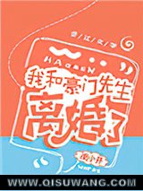 我和豪门先生离婚了图片